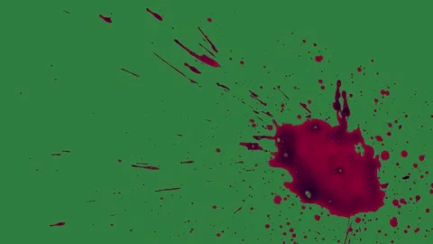 Cat Looping On Green Screen Chroma Key Background Stock Footage 338018257