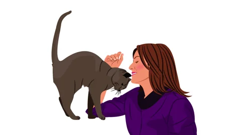 Cat lovers Stock Footage 329778402