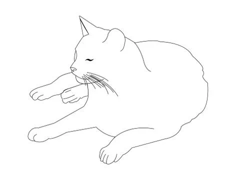 Cat lying down Stock Illustration