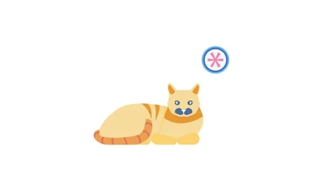 A cat lying on the ground with a star shape on its fur, showcasing a whimsi.. Stock Footage 332292466