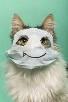 Cat with mask Photos