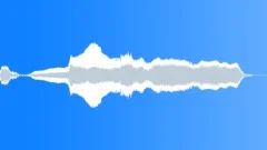 Cat meow 13 Sound Effect