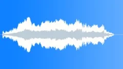 Cat Meow Single Sound Effect