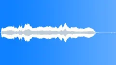 Cat meowSound Effect