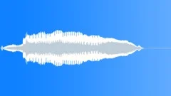 Cat meowSound Effect