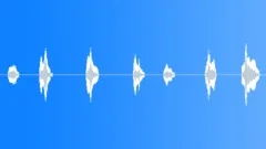 Cat meowing, SFX Sound Effect