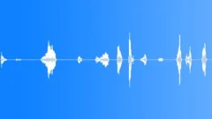 Cat Meows sound effect 02Sound Effect