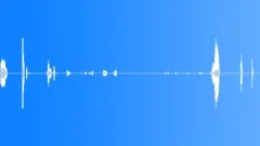Cat Meows sound effectSound Effect