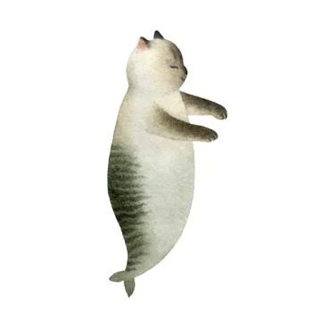 Cat mermaid Stock Illustration