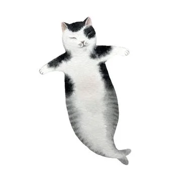 Cat mermaid Stock Illustration