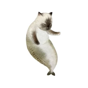 Cat mermaid Stock Illustration