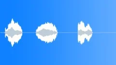 Cat miaow Sound Effect