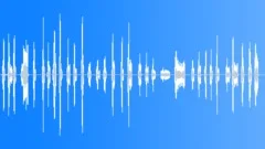 A Cat MiaowingSound Effect