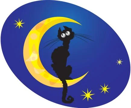 Cat on moon Stock Illustration