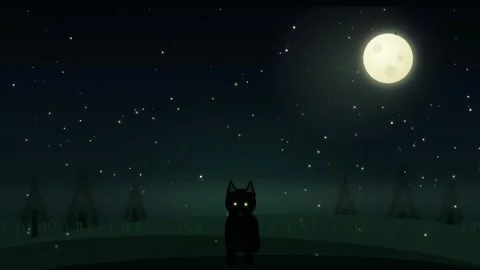 Cat Motion Background Under Aurora Night Sky Stock Footage 345589688