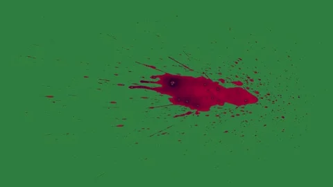 Cat Motion On Green Screen Chroma Key Background Stock Footage 338018327