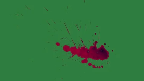 Cat Motion With Stain On Chroma Key For Compositing Vidéo 338018159