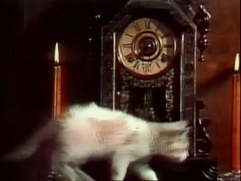 Cat moving by candle and clock Stock Footage 260258205