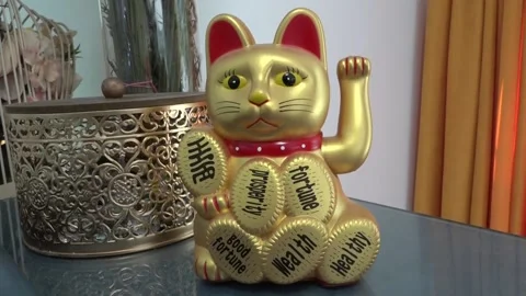 Cat moving hand 库存影片 130863741