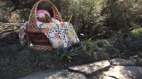 A cat near the Easter basket. Stock Footage 88254996