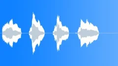 Cat nervous miaow Sound Effect