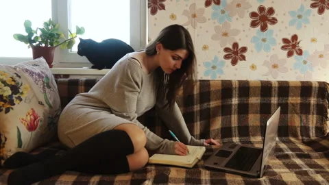 The cat next to her on the window Stock Footage 90058439