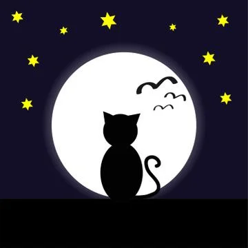 Cat in the night Stock Illustration