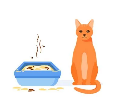 Cat not using dirty litter box. Wrong way to maintain cat toilet. Pet toilet Stock Illustration