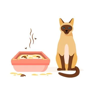 Cat not using dirty litter box. Wrong way to maintain cat toilet. Pet toilet Stock Illustration