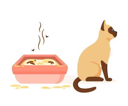 Cat not using dirty litter box. Wrong way to maintain cat toilet. Pet toilet Stock Illustration