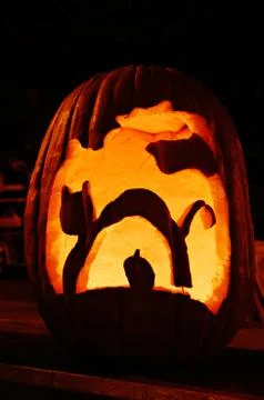 Cat-O'-Lantern Stock Photos