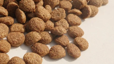 Cat or dog pellets pile slow pan Stock Footage 81773997