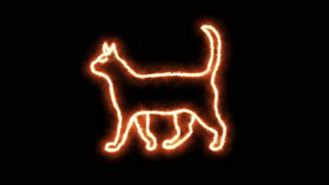 Cat outline of burning flames and cat in neon lights. Compilation of Stock Footage 150986744