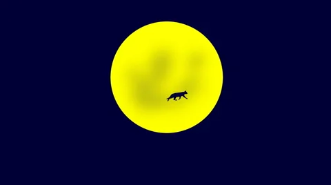 CAT OVER THE MOON Video stock 59534645