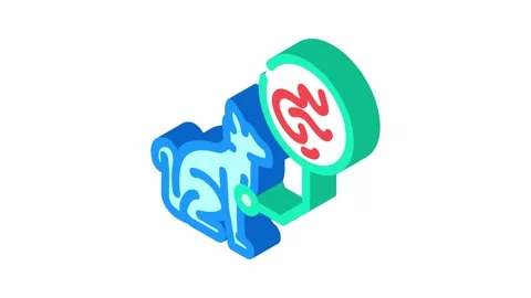 Cat parasite worm isometric icon animation Video stock 327281906