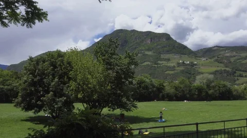 Cat in Park Looking at Bees 스톡 동영상 76039267