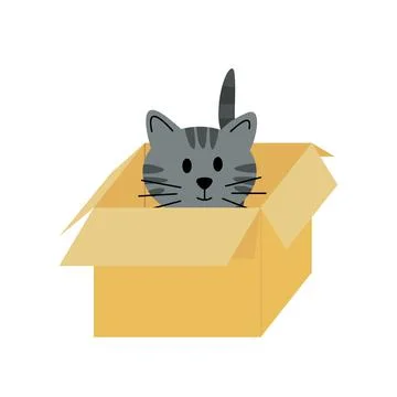 Cat in pasteboard box. Kitten. Flat, cartoon, vector Stock Illustration