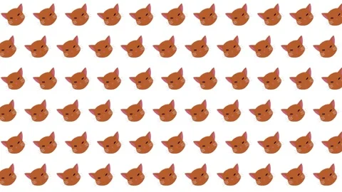 Cat Pattern Background Stock Footage 323288824