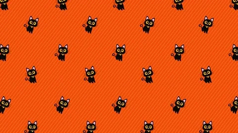 Cat Pattern Halloween Background Stock Footage 213370673