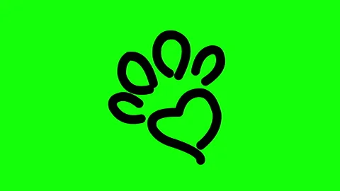 Cat Paw Icon Animation Variant, Pet Footprint Motion Graphic Vídeos de archivo 334358631