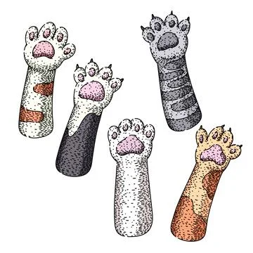 Cat paw set sketch hand drawn vector Stock Illustration