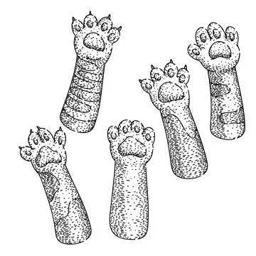 Cat paw set sketch hand drawn vector Stock Illustration