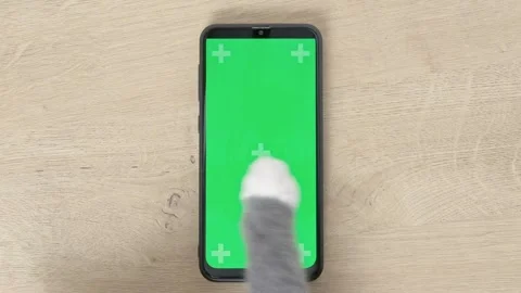 Cat paw touching, clicking, tapping and ... | Stock Video | Pond5