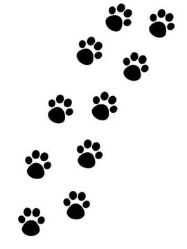 Cat Paw Track Stock Illustration