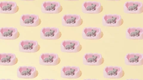 Cat Pet Bed relax Pattern wallpaper Yellow Background flat lay creative concept Stock Footage 331718456
