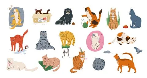 Cat pets vector illustration set. Cute kittens with different emotion sleeping Stock Illustration