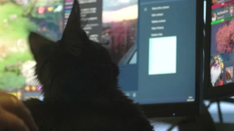 Cat is playing a game looks at computer Stock Footage 170694389