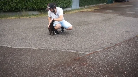 A cat playing with a guy in the street Stock Footage 93869966