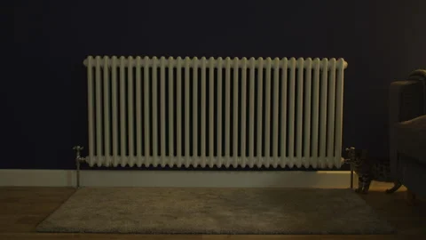 Cat playing in a livingroom Stock Footage 260339843