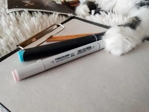Cat playing with pencils Stock Photos